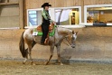 23_ApHC Western Pleasure
